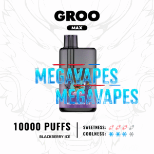 2BLACKBERRY-ICE.png - Mega Vapes Australia