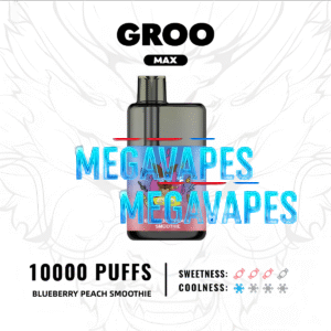 BLUEBERRY-PEACH-SMOOTHIE1-2.png - Mega Vapes Australia
