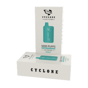 Nicotine Free Gust Super Mint Rechargeable Disposable Vape