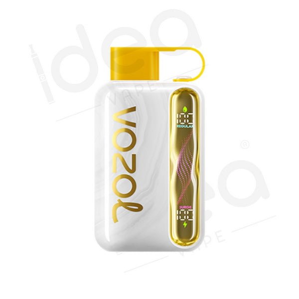Vozol Star 40K Prefilled Vape Kit