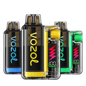 Vozol Vista Plug 10K Vape Kit