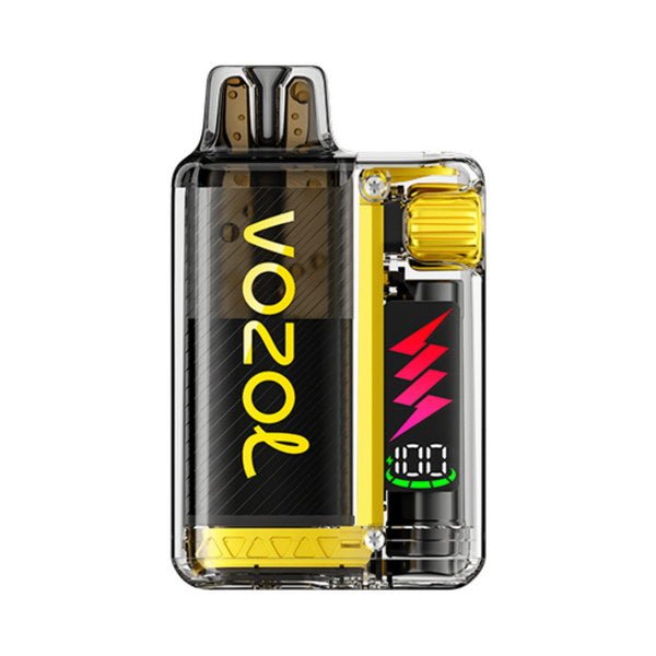 Vozol Vista Plug 10K Vape Kit