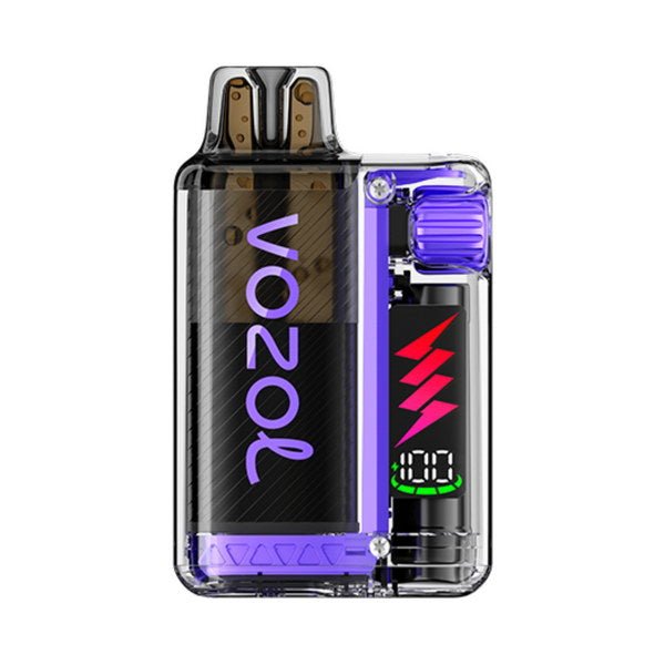 Vozol Vista Plug 10K Vape Kit