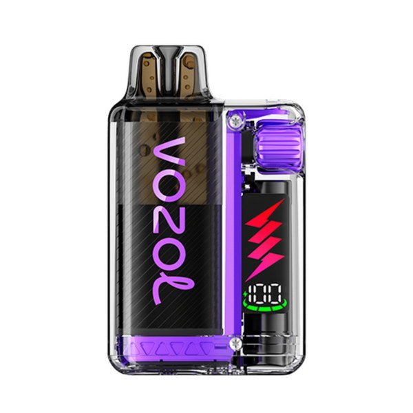 Vozol Vista Plug 10K Vape Kit