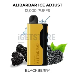 Alibarbar Ice Adjust 12000 Puffs – Blackberry