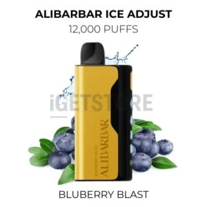 Alibarbar Ice Adjust 12000 Puffs – Bluberry Blast