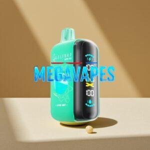 ELF BAR RAYA D3 25000 Puffs Rechargeable Disposable Vape with Type-C & Screen – Alpine Mint