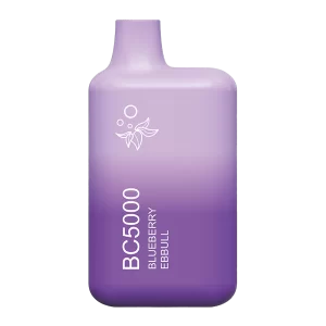 Purple gradient bottle with a white leaf logo and vertical text reading BC5000, Blueberry Ebull, indicating the blueberry ebul flavor.